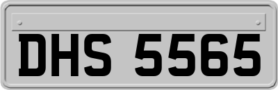DHS5565