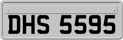DHS5595