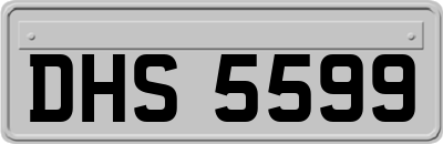 DHS5599