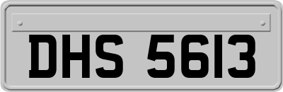 DHS5613