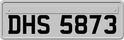 DHS5873
