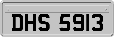 DHS5913