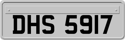 DHS5917