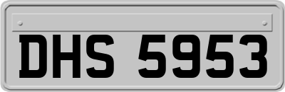 DHS5953