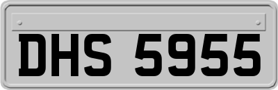 DHS5955