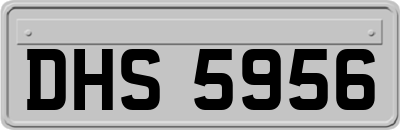 DHS5956