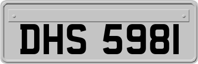 DHS5981