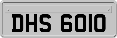 DHS6010