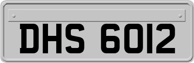 DHS6012