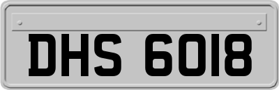 DHS6018