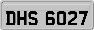 DHS6027