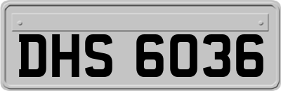 DHS6036
