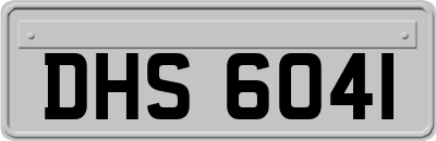 DHS6041