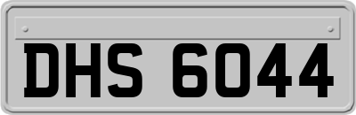 DHS6044