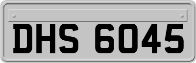 DHS6045