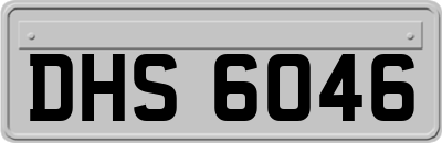 DHS6046