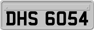 DHS6054