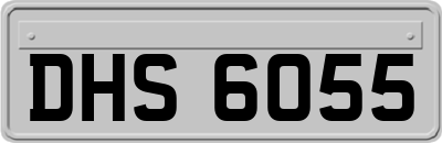 DHS6055