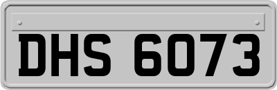 DHS6073