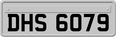 DHS6079