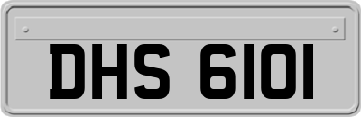 DHS6101