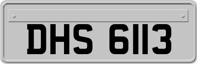 DHS6113