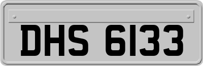 DHS6133