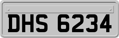 DHS6234