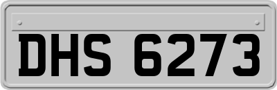 DHS6273