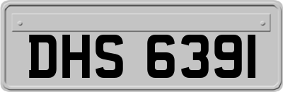DHS6391
