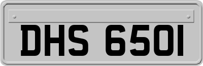 DHS6501