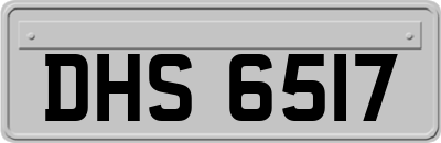 DHS6517