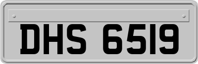 DHS6519