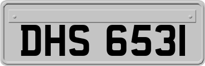 DHS6531