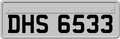 DHS6533