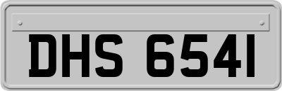 DHS6541