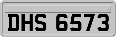 DHS6573
