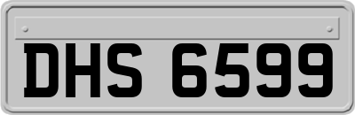 DHS6599