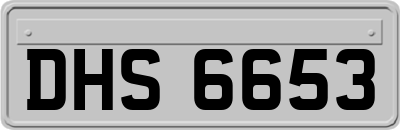 DHS6653