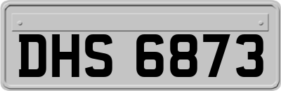 DHS6873