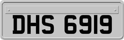 DHS6919