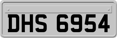 DHS6954