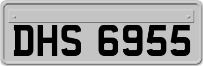DHS6955