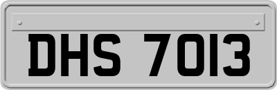 DHS7013