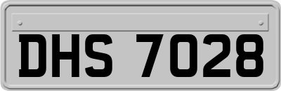 DHS7028