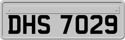 DHS7029