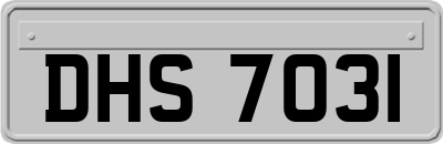 DHS7031