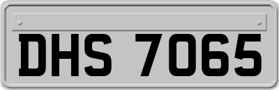 DHS7065