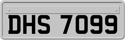DHS7099
