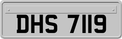 DHS7119